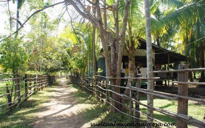 SI PHA DON, CAMINO AL SUR, EL CARIBE DE LAOS