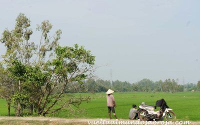 DELTA DEL MEKONG, LA FUENTE DEL ALIMENTO EN VIETNAM