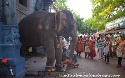 ETAPA 9: TRICHY – PONDICHERRY ( 8 HORAS – 240 KM) – 3 DÍAS