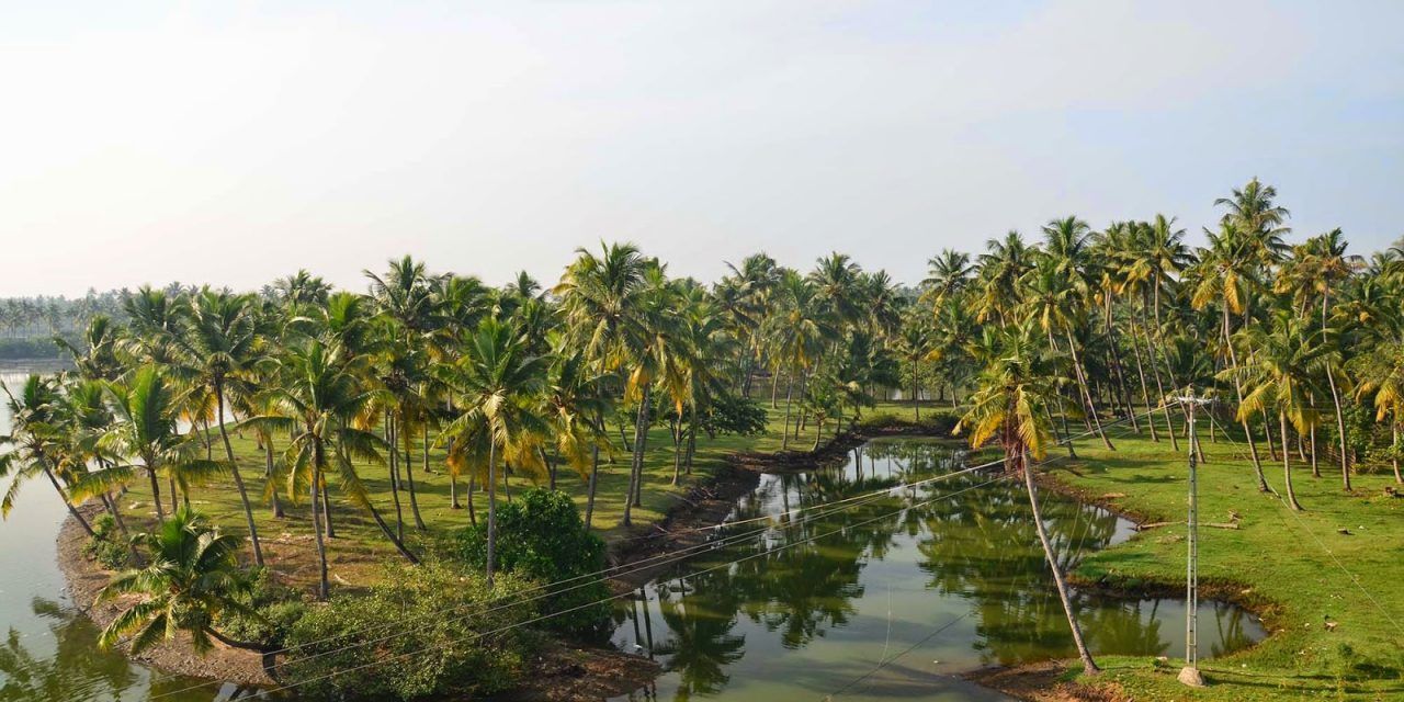 ETAPA 6: VARKALA – KANYAKUMARI (6 HIRAS – 145 KM) – 1 DÍA