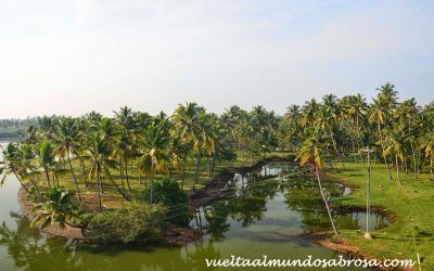 ETAPA 6: VARKALA – KANYAKUMARI (6 HIRAS – 145 KM) – 1 DÍA