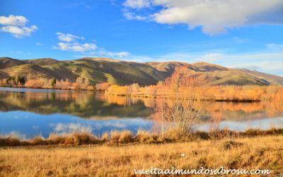 ETAPA 3: LAGO PUKAKI – OAMARU (3 HORAS – 230 KM)