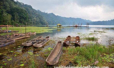 Entre montañas, lagos y preciosas terrazas de arroz (etapa 4, de Munduk a Ubud, 2 horas, 80 km)