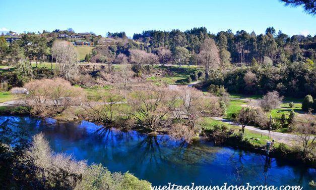ETAPA 21: TURANGI – TAUPO ( 1 HORA – 55 KM )
