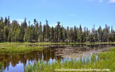 RUTA USA, ETAPA 9: OAKHURST – JUNE LAKE (335 KM)