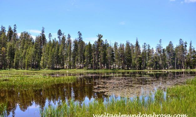 RUTA USA, ETAPA 9: OAKHURST – JUNE LAKE (335 KM)