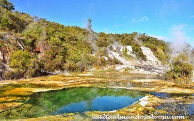 ETAPA 22: TAUPO – ROTOURA (3,5 HORAS – 140 KM )