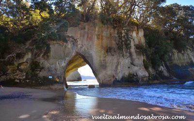 ETAPA 25: WAIHI BEACH – COROMANDEL ( 6 HORAS – 322 KM )