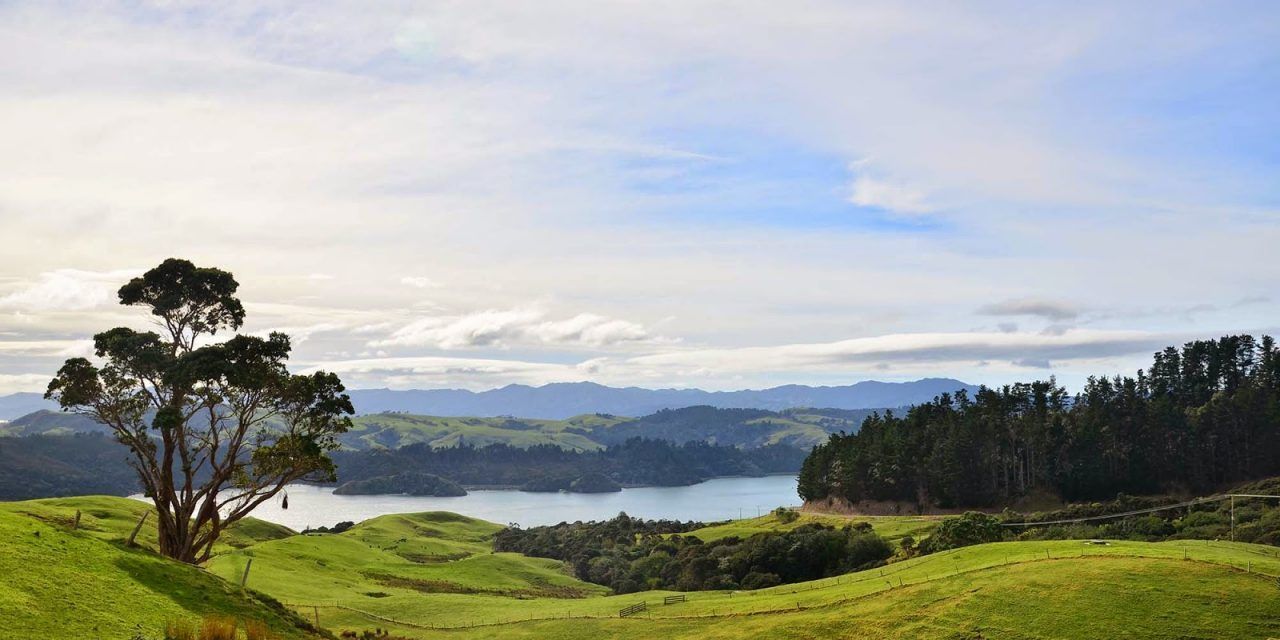 ETAPA 26: COROMANDEL – AUCKAND ( 5 HORAS – 217 KM )