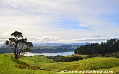 ETAPA 26: COROMANDEL – AUCKAND ( 5 HORAS – 217 KM )