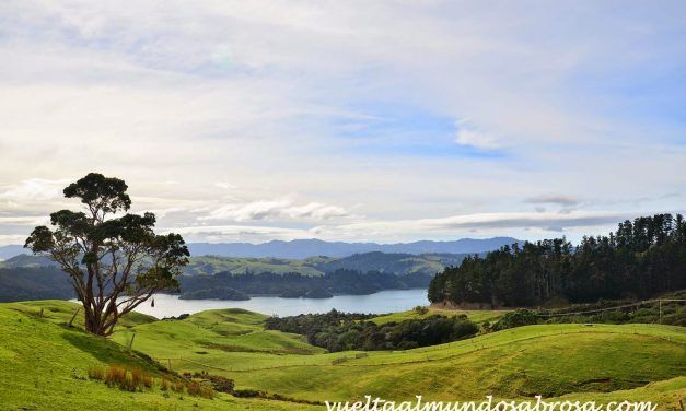ETAPA 26: COROMANDEL – AUCKAND ( 5 HORAS – 217 KM )