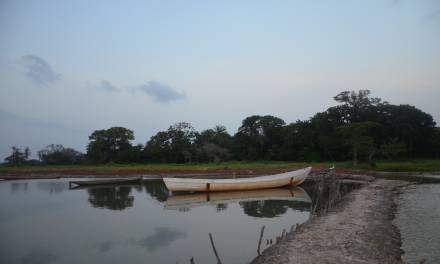 Integrándonos (etapa 1, de Banjul (Gambia) a Thionck Essyl (Senegal)