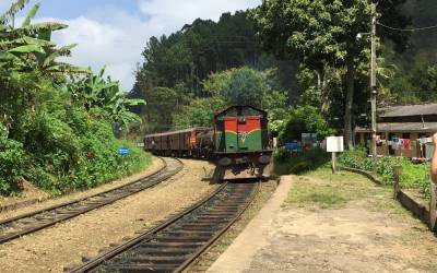 El trayecto en tren más bonito del mundo (etapa 6, Nuwara Eliya – Ella)
