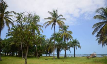 El caribe de Casamance – etapa 3, de Niomoune a Carabane